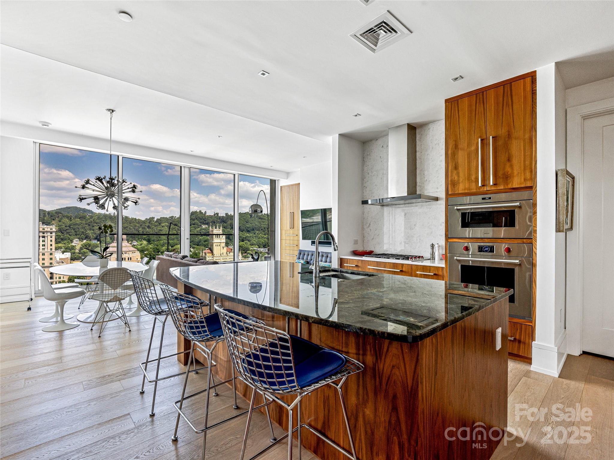 Photo of Asheville Arras Residence Unit Unit 1503